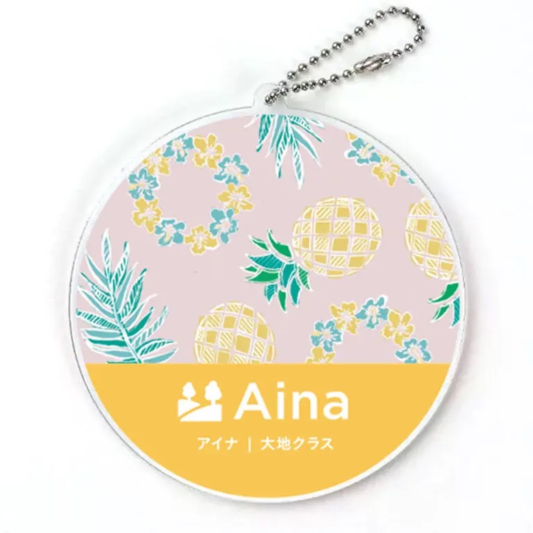 Aina（アイナ）クラス